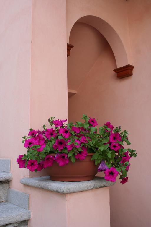 Le Petit Coin De Maison Chante Lune Bed and Breakfast Introd Εξωτερικό φωτογραφία